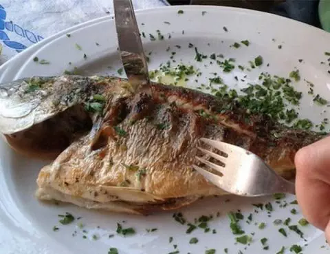 Manfaat Ikan