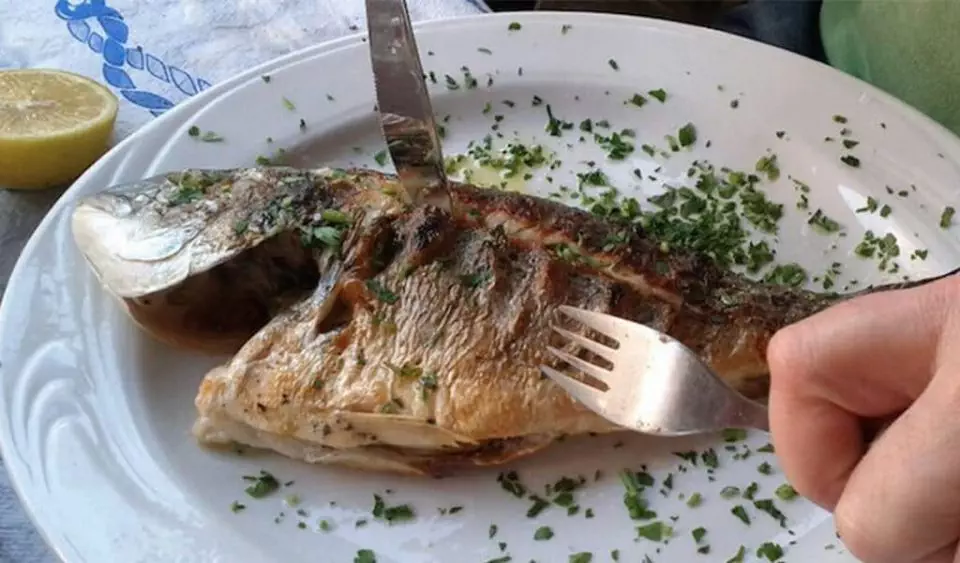 Manfaat Ikan