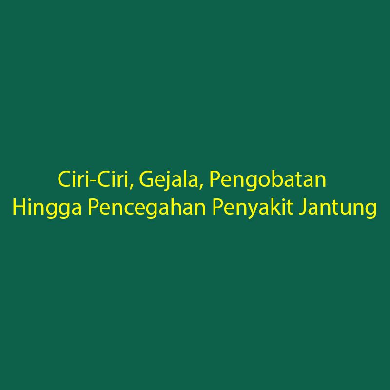 Ciri Ciri Gejala Pengobatan Hingga Pencegahan Penyakit Jantung